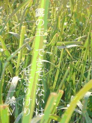 �I�̋�