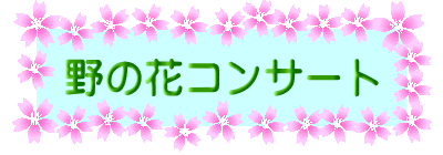 野の花コンサート