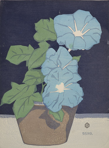 朝顔