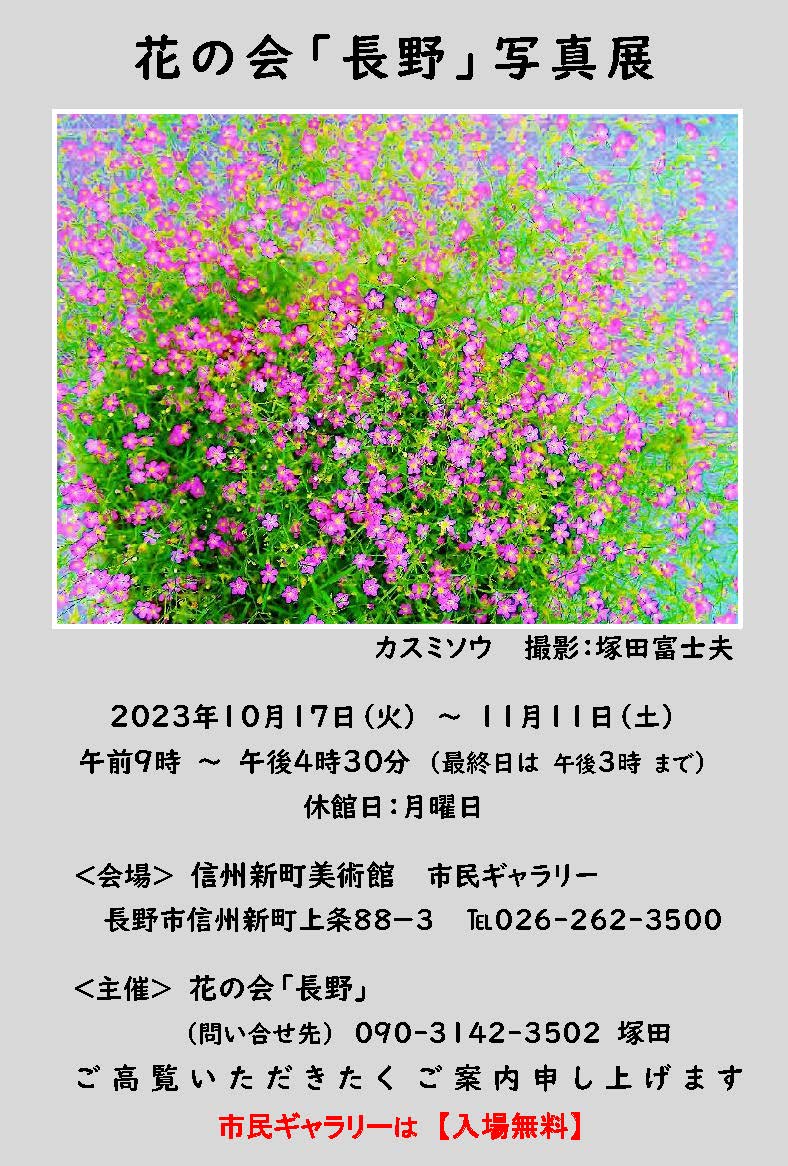 ご案内